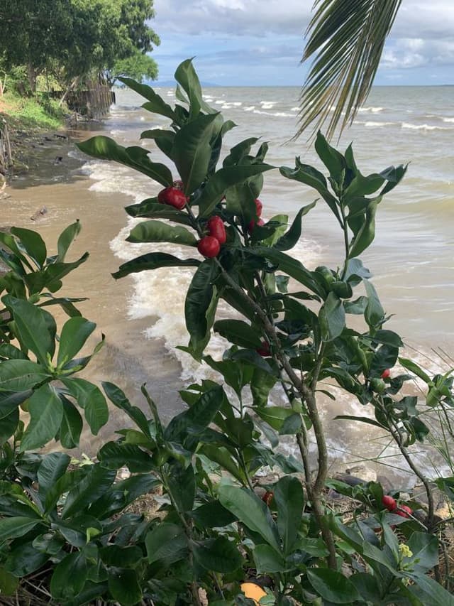 Photo 1 by Michal G. (11/15/25)