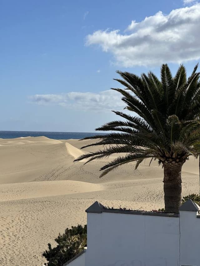 Photo 1 by Valerii K. (3/17/26)