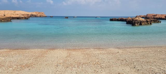 Foto 1 di Alessandro M. (04/01/25)