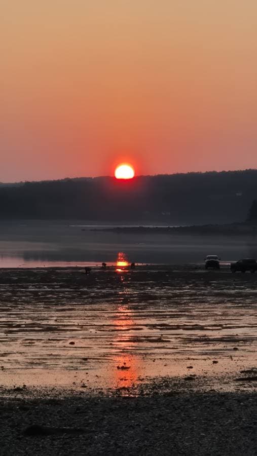 Photo 1 by meir D. (8/15/25)