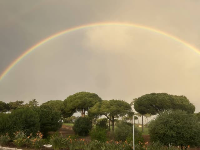 Photo 1 by ian S. (4/12/26)