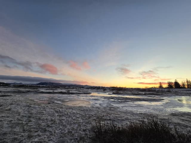 Photo 1 by Jemma C. (1/11/26)