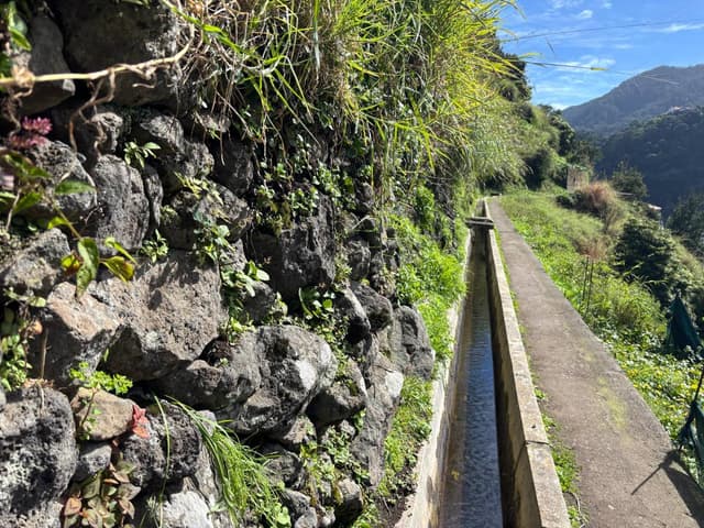Photo 2 by Monica N. about renting a Citroen C3 in Madeira (2/24/25)