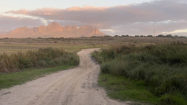 Photo 1 by Victor E. (4/21/25)