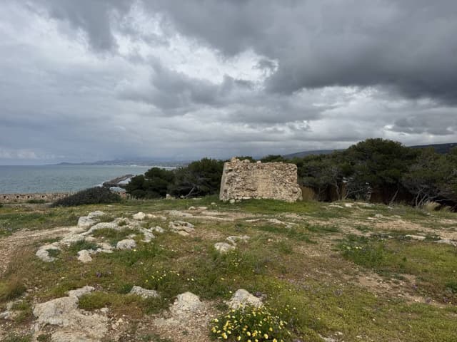 Photo 1 by Kyrylo H. (3/26/26)