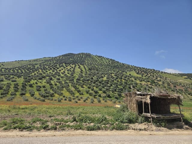 Photo 1 par PIERRE M. (11/04/26)