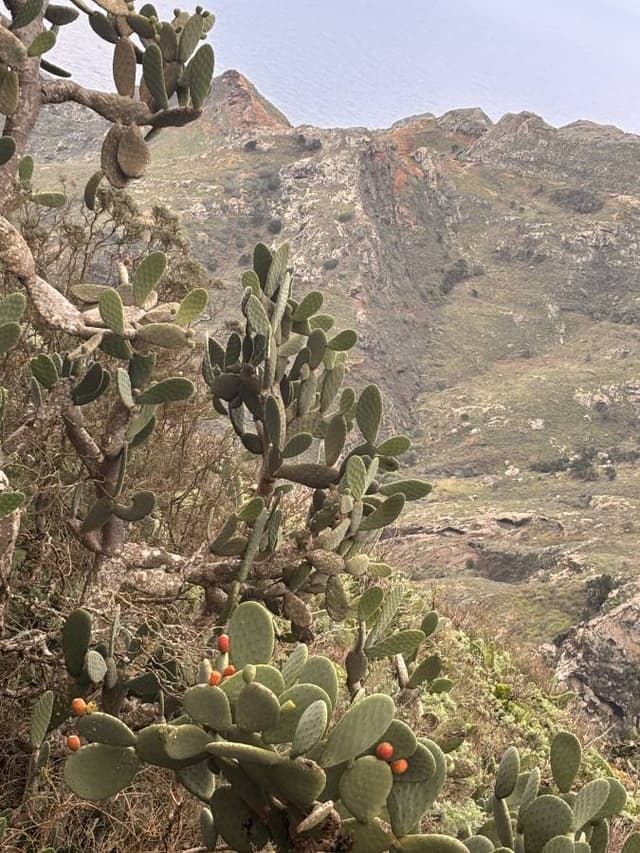 Zdjęcie 1 wykonane przez Cezary O. (5.12.25)
