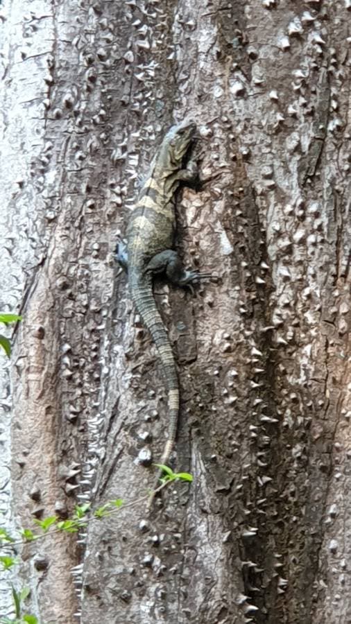 Photo 1 by Petra A. (3/29/23)