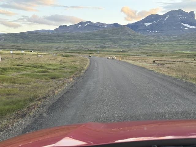 Photo by Tara C. about renting a Suzuki Vitara in Keflavik (7/24/25)
