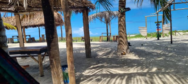 Photo 1 by Colin D. about hiring a Peugeot 208 at Salvador Airport (16.03.24)