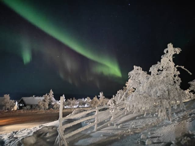 Foto 1 di Andrea P. (17/12/25)