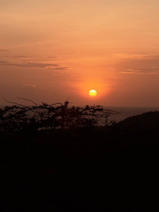 Foto 1 de YEISSON ALEJANDRO P. (3/10/25)