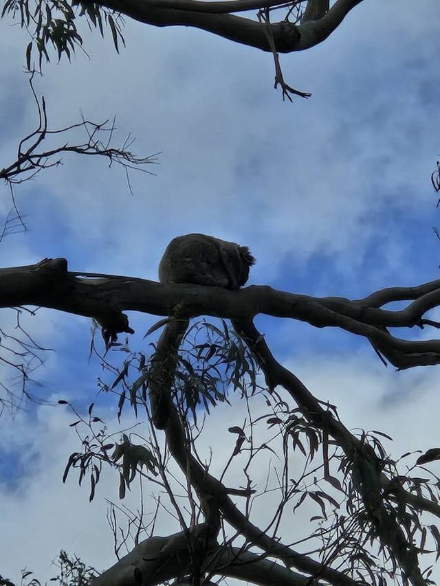 Photo 1 by Toni H. (11/21/25)