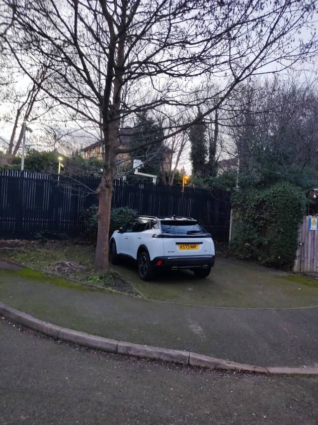 Zdjęcie 1 wykonane przez Daniel P. (8.01.26)