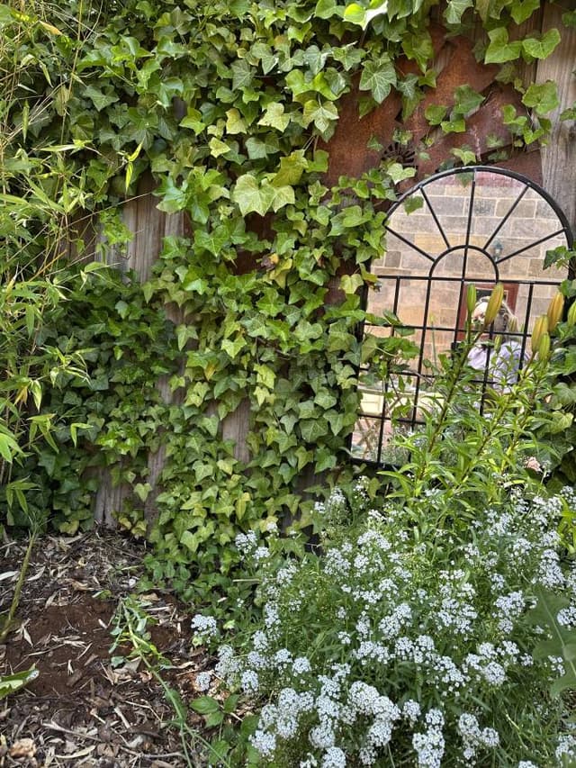 Photo 1 by John D. (12/30/25)