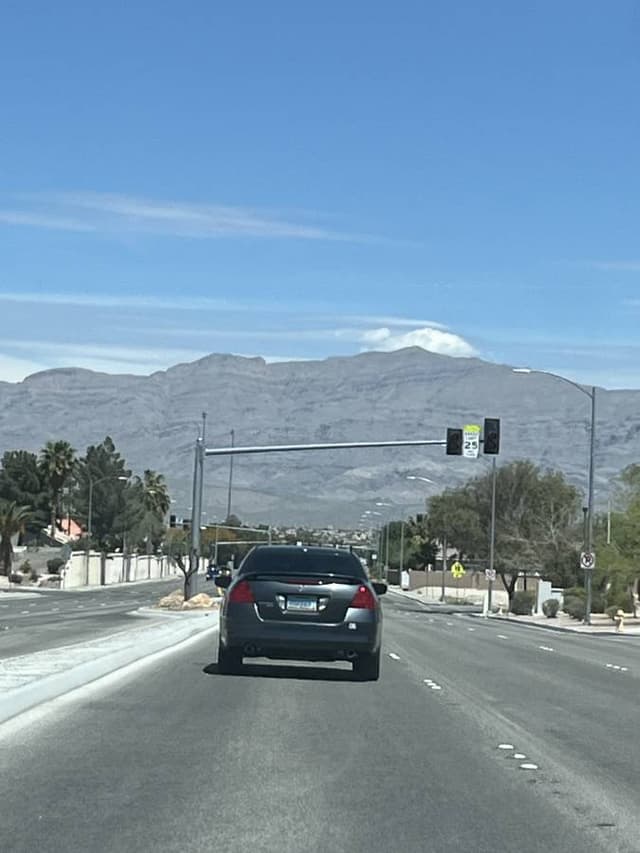 Photo by fern P. (4/21/24)