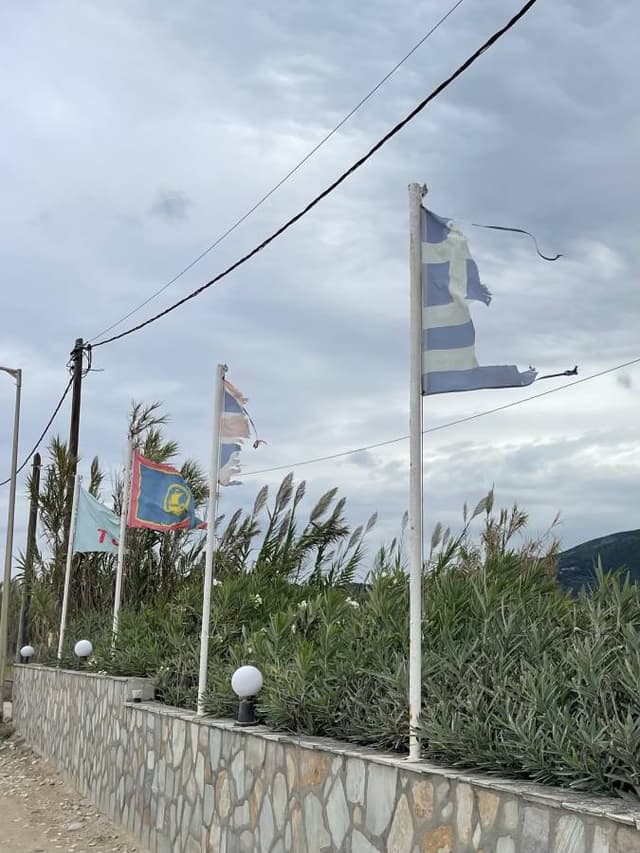 Фото от PJOTR P. (06.10.25)