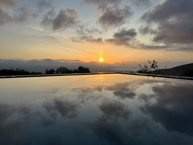 Photo 1 by Stewart G. (6/9/23)