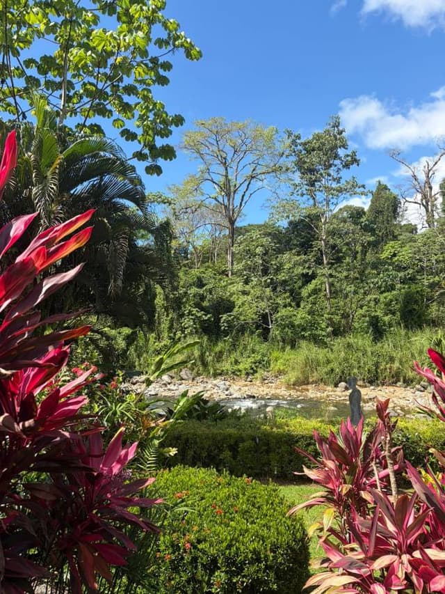 Foto 2 van Jermaine G. (27-12-25)