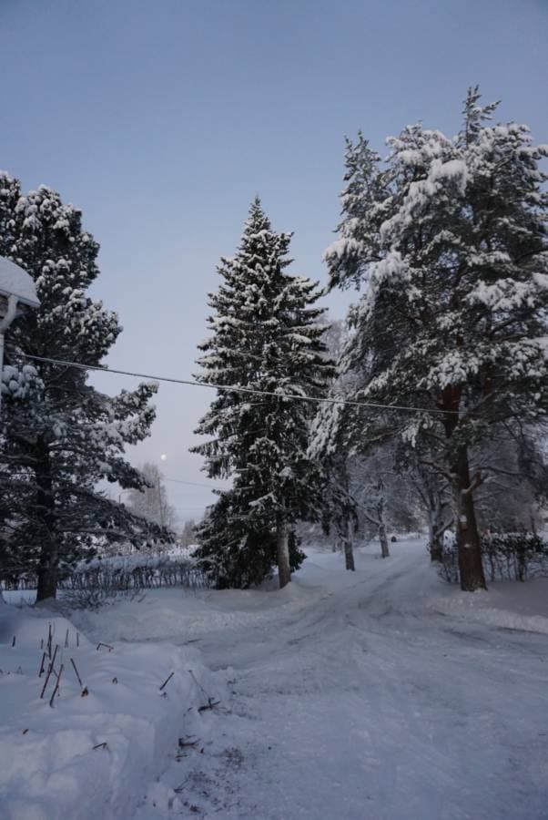 Photo 1 par Helena M. sur la location d'un Volkswagen Polo en Finlande (04/01/24)