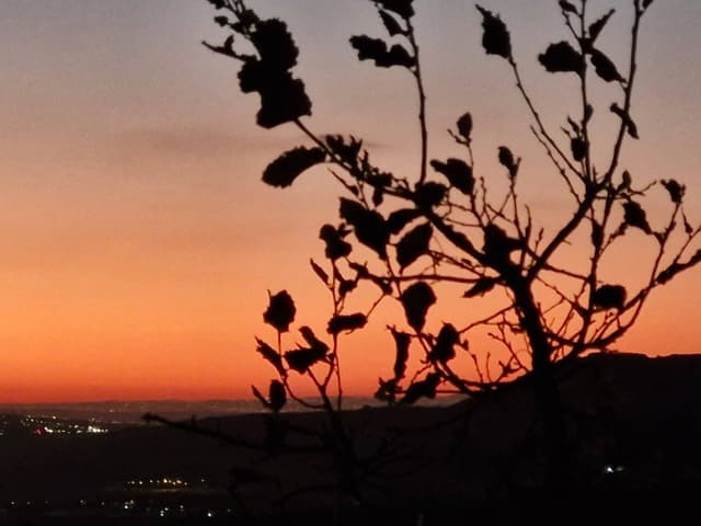 Photo 1 by Trevor T. about hiring a Hyundai i10 in Tel Aviv (17.12.24)