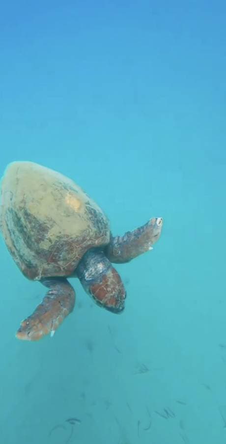 Foto 1 van John F. (29-8-23)