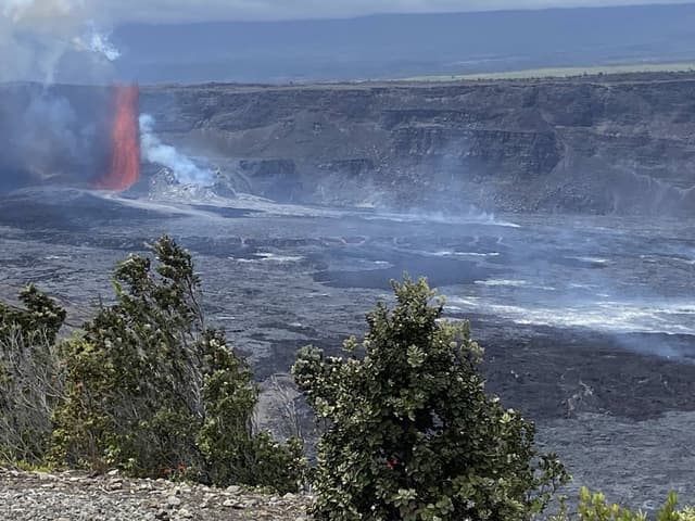 Photo 1 by John S. (3/28/25)