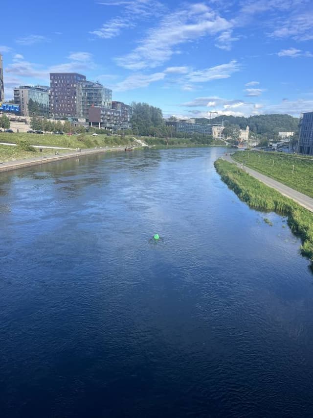 Foto 1 di Sabatino Z. (25/08/26)