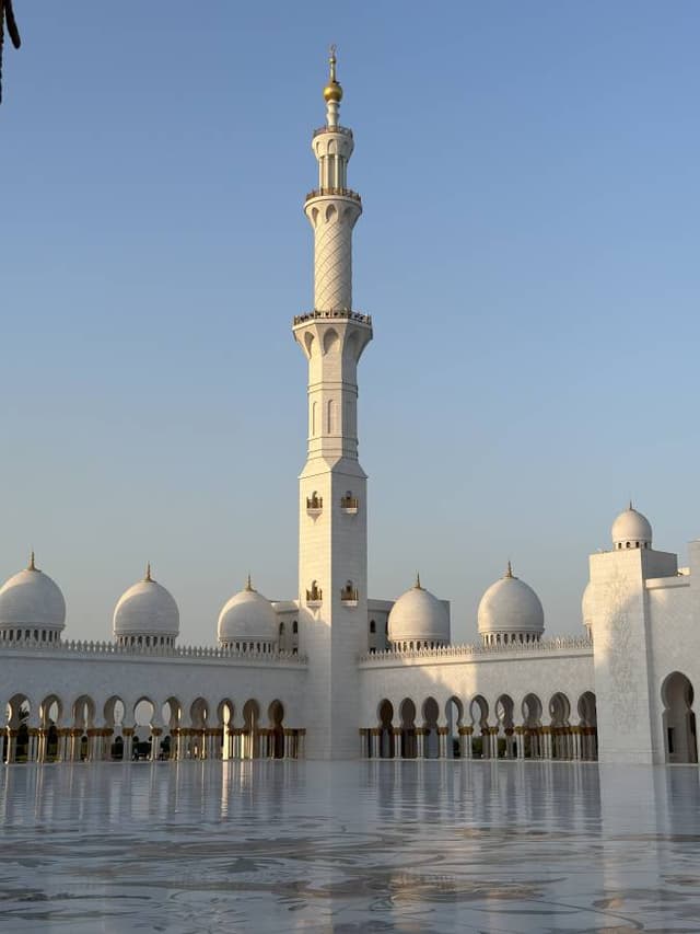 Mahmut T. tarafından 2 fotoğraf (13.09.24)