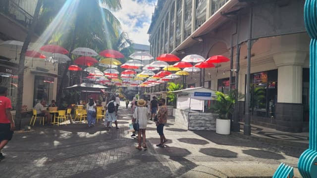 Photo 1 by Kiasha S. about renting a Kia Picanto in Grand Bay (2/14/25)