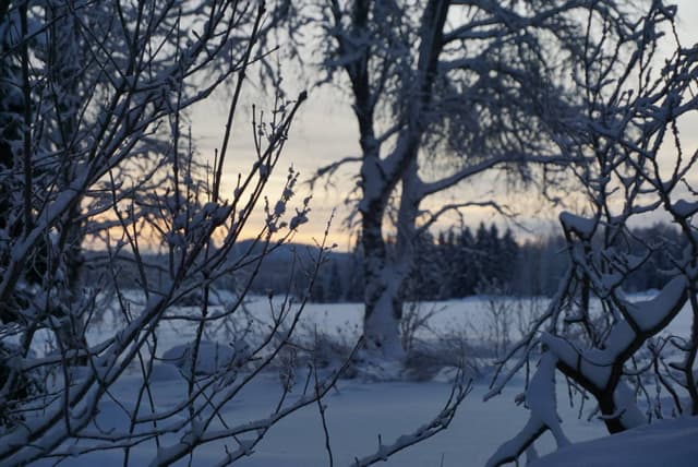Photo 2 par Helena M. sur la location d'un Volkswagen Polo en Finlande (04/01/24)