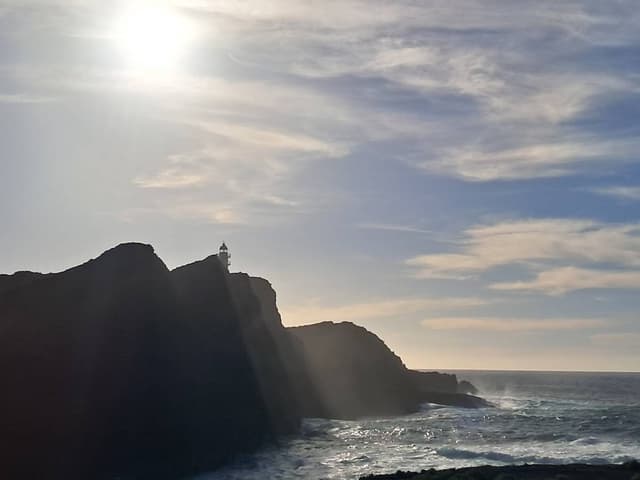 Foto 2 di PAOLO T. (14/02/26)