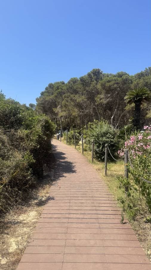 Photo 1 by David H. about renting a Peugeot 108 on Sardinia (6/26/25)