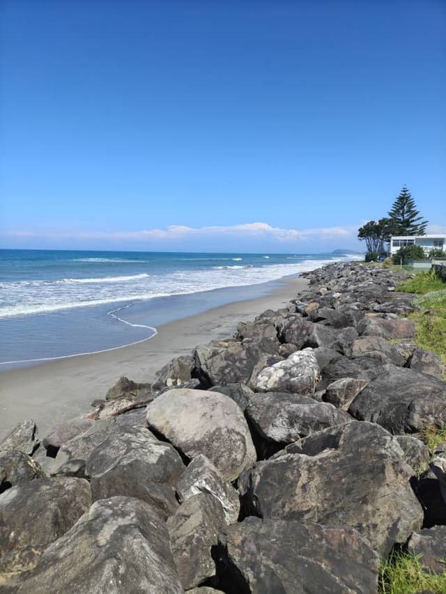 Photo 1 by Risto R. (2/16/26)