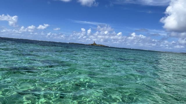 Photo 1 par Marcel T. (08/03/26)