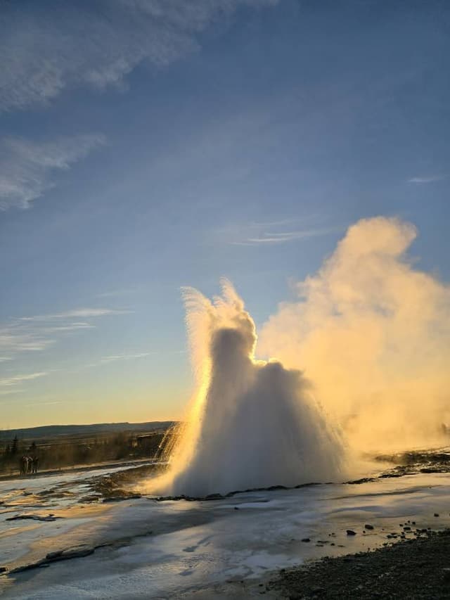 Photo 2 by Jemma C. (1/11/26)