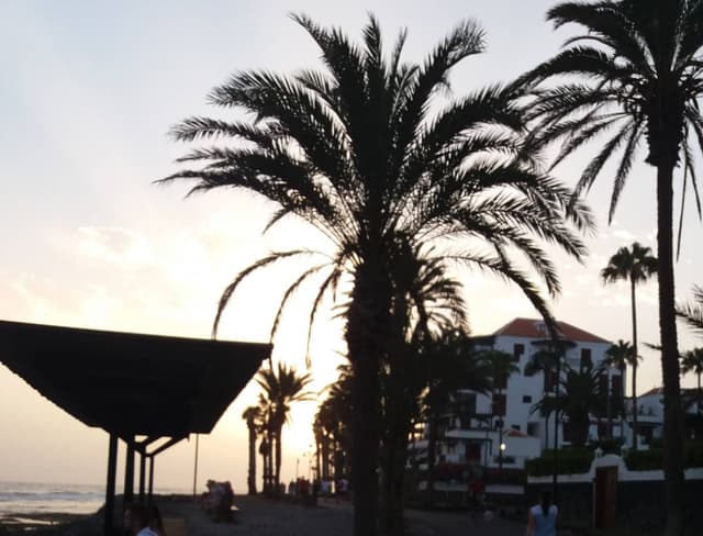 Fotografia 2 realizată de IOAN-RADU P. (30.07.22)