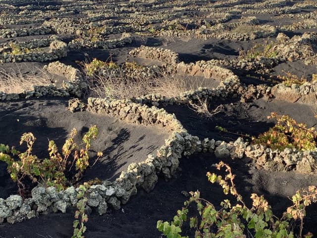 Foto 1 von Matthias S. über die Anmietung eines Peugeot 2008 auf Kanarischen Inseln (Spanien) (22.11.23)