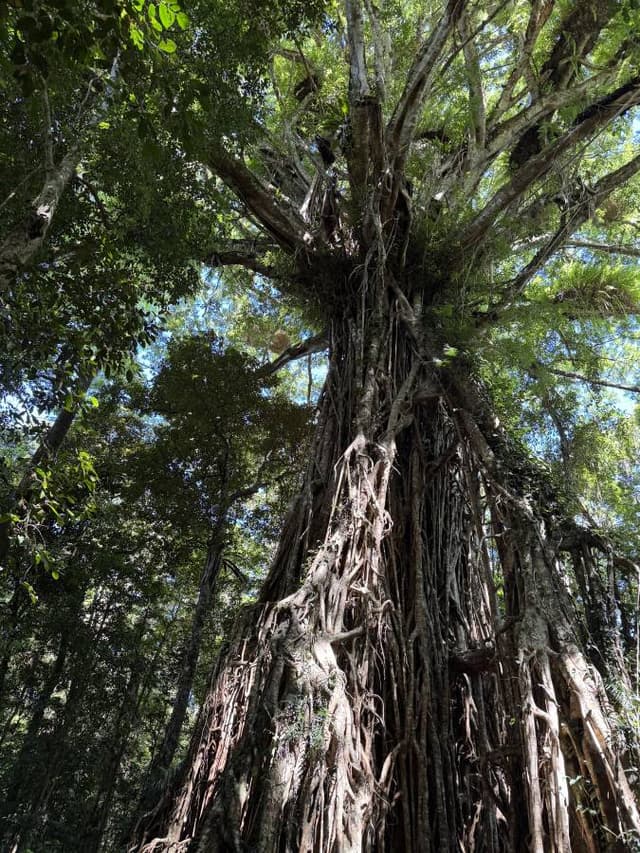(25/11/24)のレンタルについて、Mansuke I. による写真 1