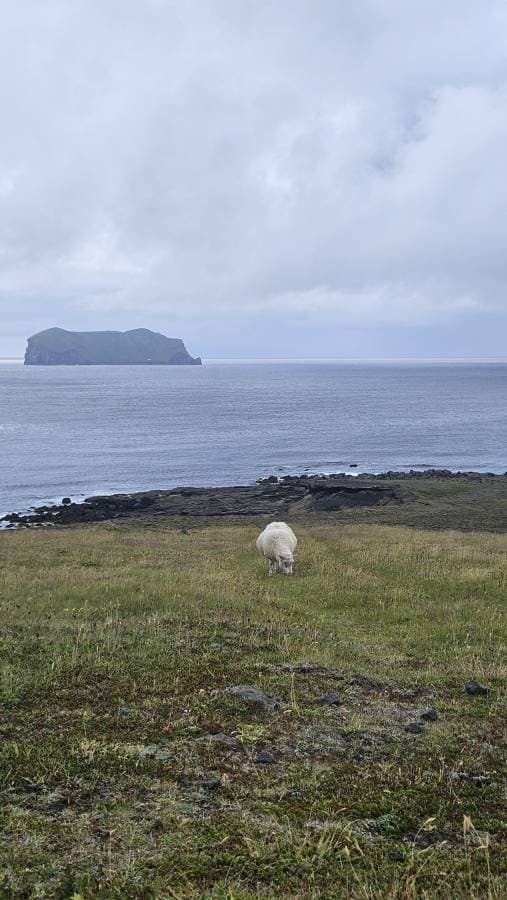 Photo 2 by Milos M. about renting a Toyota Aygo in Keflavik (7/17/25)