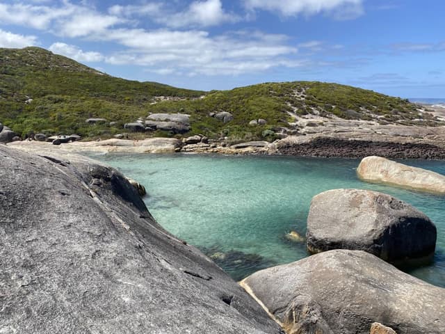 Photo 1 by Ashleigh S. (3/7/26)