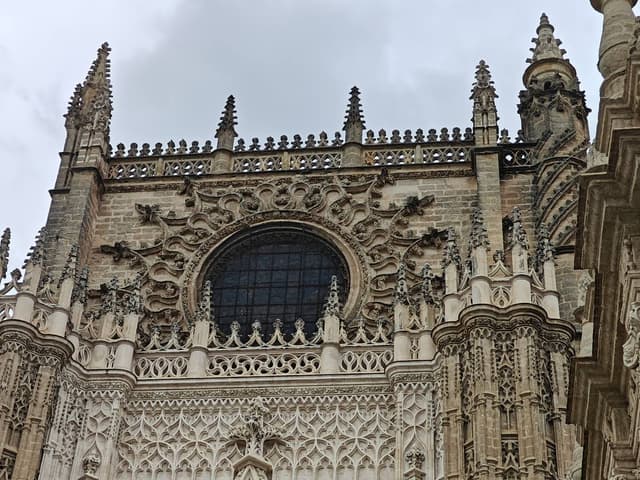 Photo 1 by Baciu C. (3/25/26)