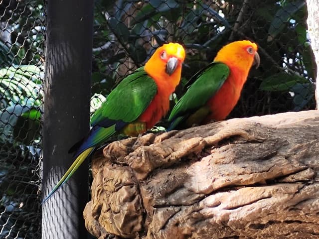 Nuotrauka 1, pateikta Algimantas K. (25-12-10)