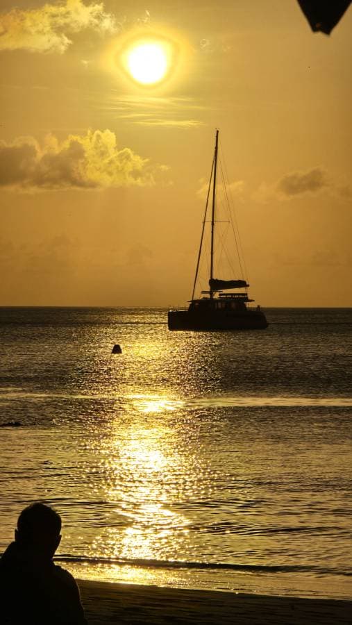 Foto 1 di laura C. (12/10/25)