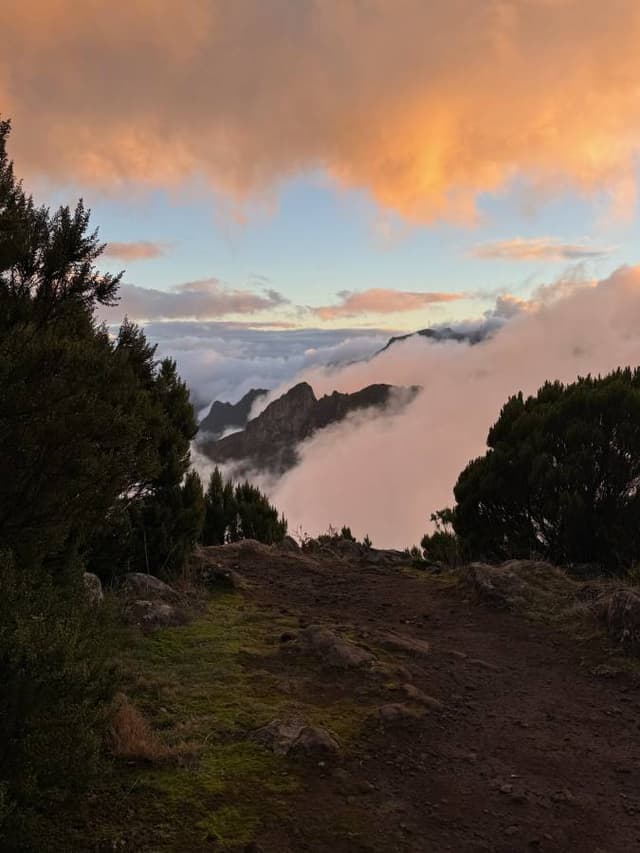 Zdjęcie 1 wykonane przez Pawel W. (20.01.25)