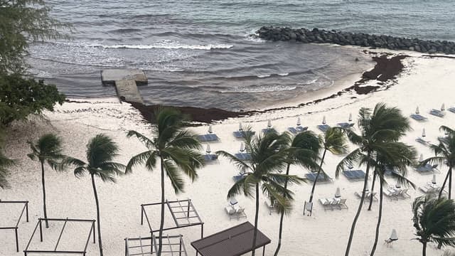 Photo 1 by Mehroon Anisa K. about hiring a Ford EcoSport in Barbados (12/06/26)