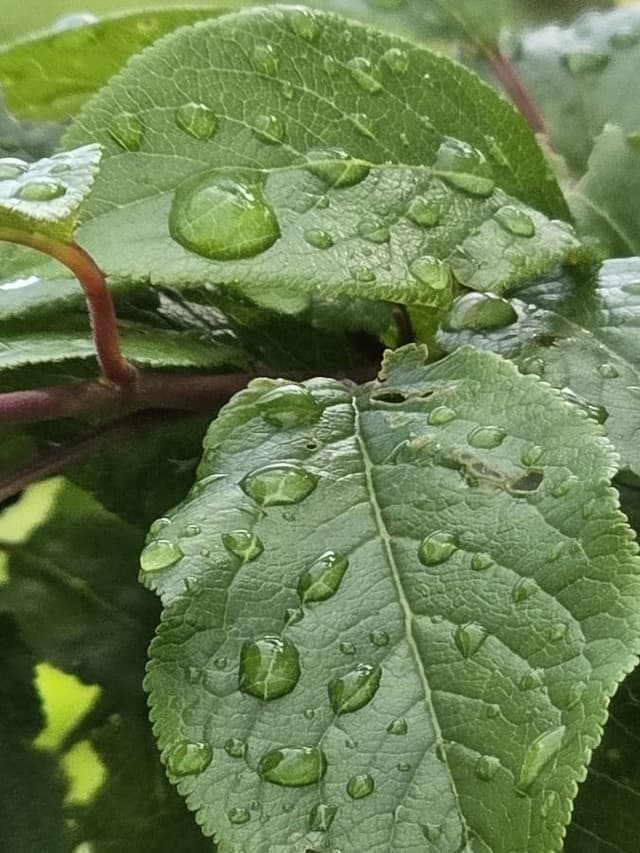 Photo 1 by yahya M. (5/29/26)