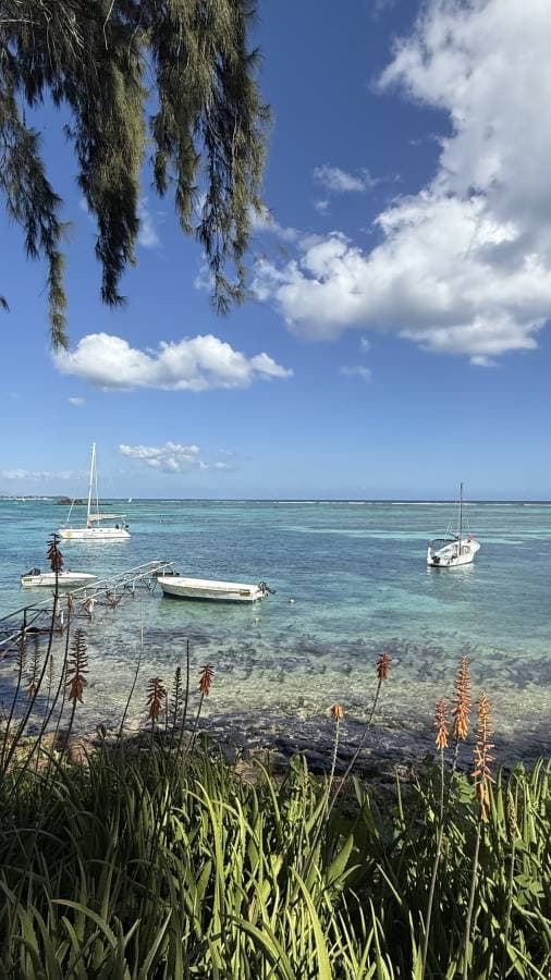 Photo 1 by Nikolay T. (6/27/25)