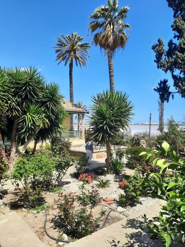 Foto 2 van Johannes M. (11-4-25)