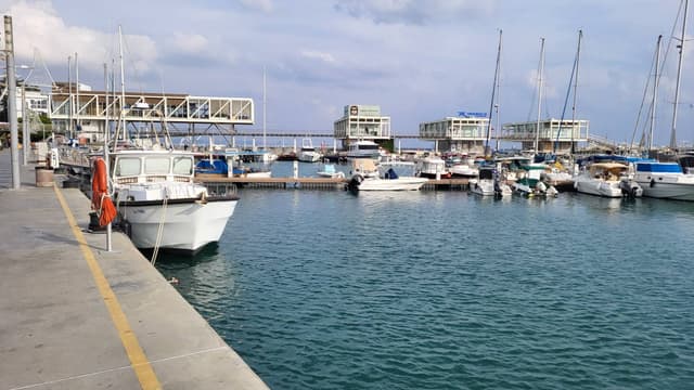 Zdjęcie 1 wykonane przez Piotr C. (6.01.26)